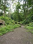 36P7306707