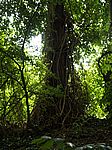 14P7306761