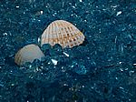 78P5145811