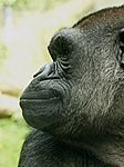 PA013350