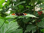 069P4225019