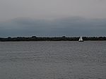 009P9012559