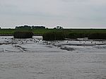018P9012564