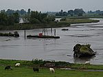 062P9012608