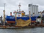 36P9042976