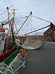 43P9042982