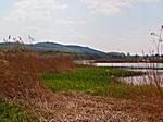 Eine Landschaft, die an Schleswig-Holstein erinnert.